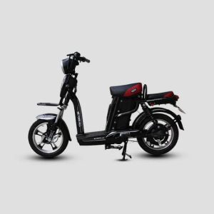 Xe đạp điện BF1 Before All